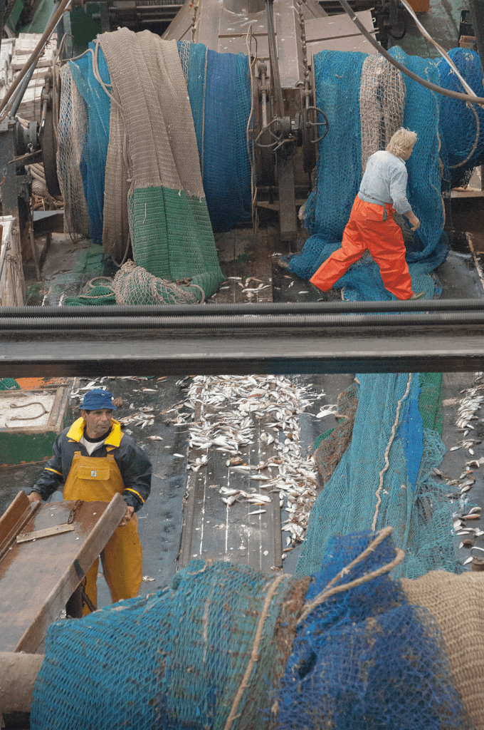 reportage photo industrie pêche près de Bayonne