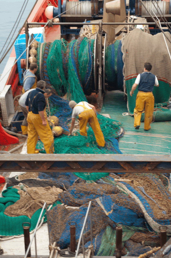Reportage marin pecheur en mer Pays Basque