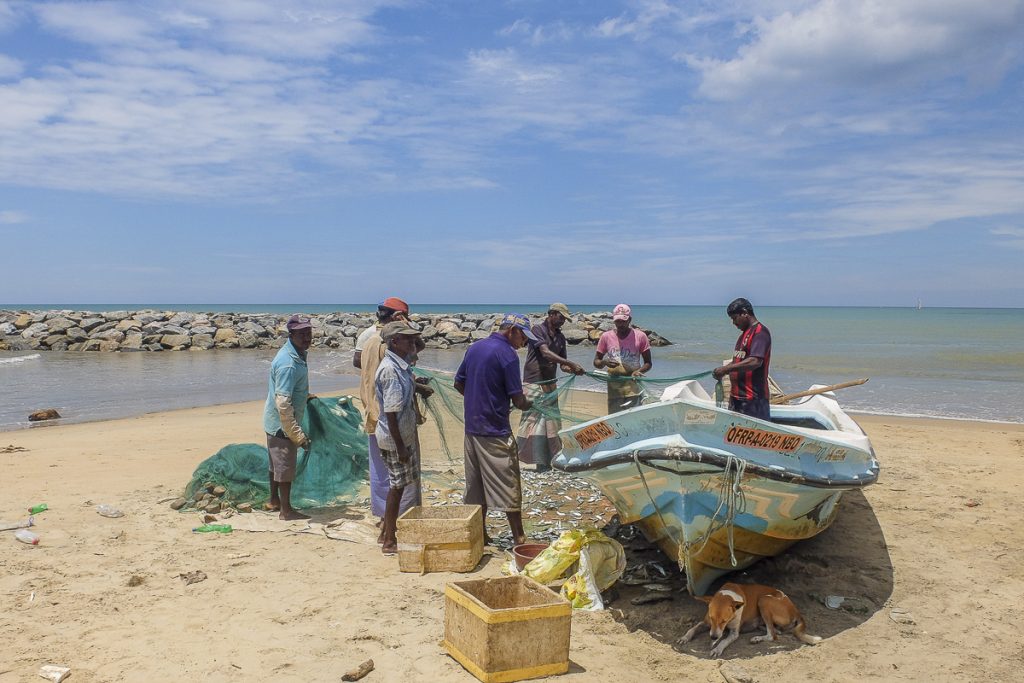 Pêche Sri Lanka - reportage photo
